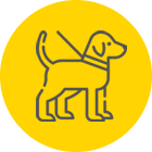 Dogs allowed