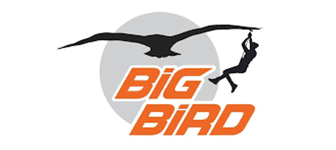 Big bird